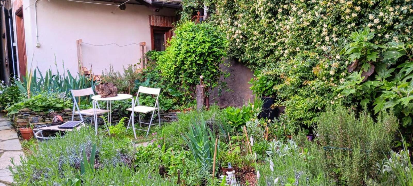 La Marmotta Hotel Luserna San Giovanni Exterior photo